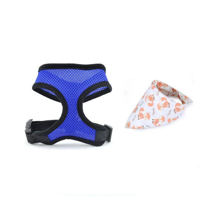 Adventure Duo: Harness And Bandana Set