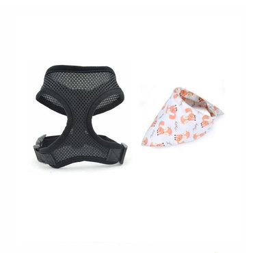 Adventure Duo: Harness And Bandana Set