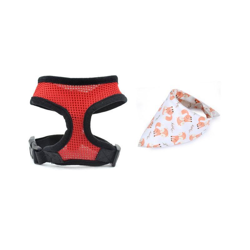 Adventure Duo: Harness And Bandana Set