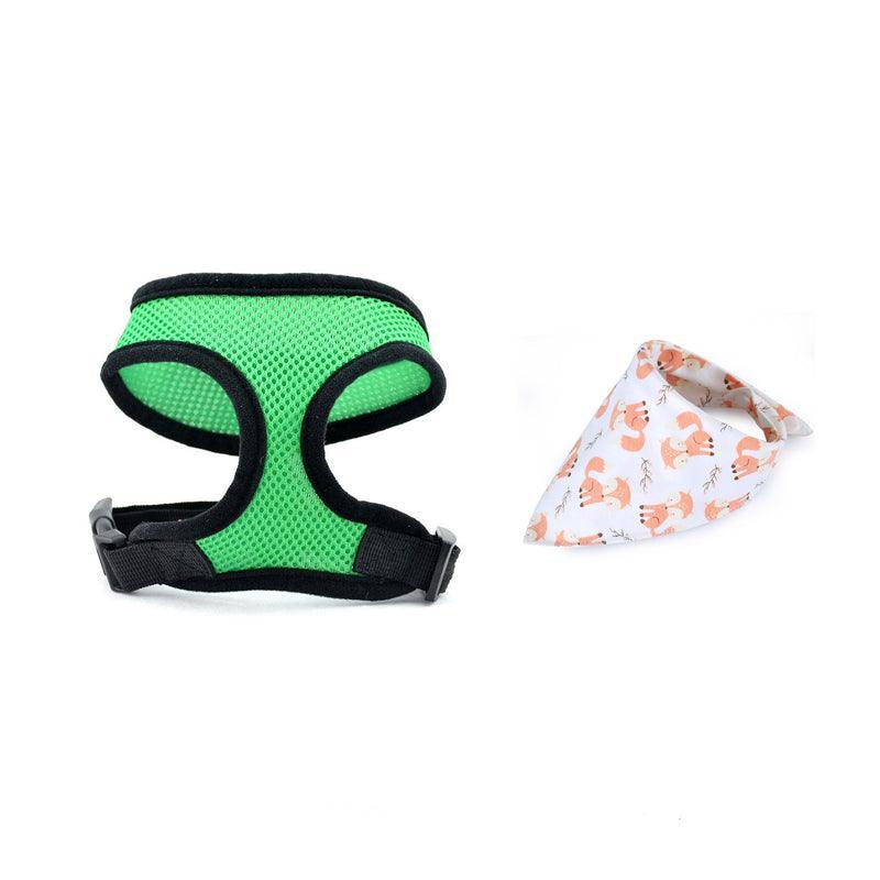 Adventure Duo: Harness And Bandana Set