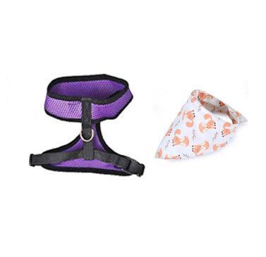 Adventure Duo: Harness And Bandana Set