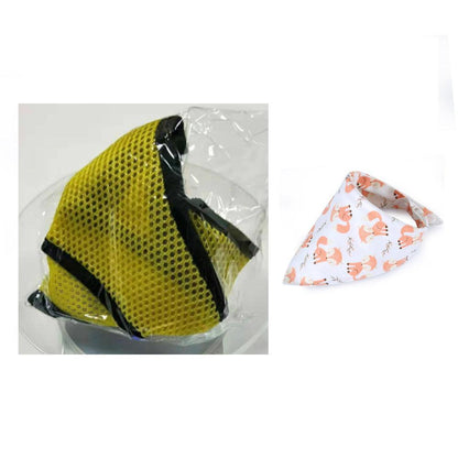 Adventure Duo: Harness And Bandana Set