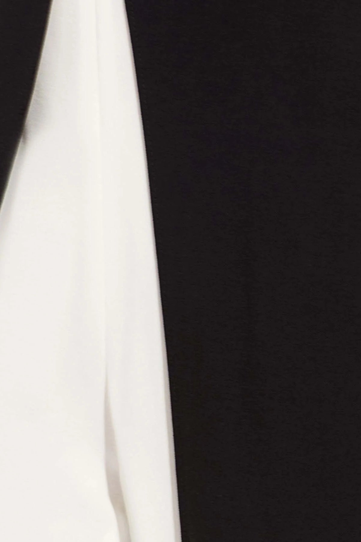 Adrianna Papell Crew Neck Sleeveless Back Zipper Jumpsuit (Plus Size)-2