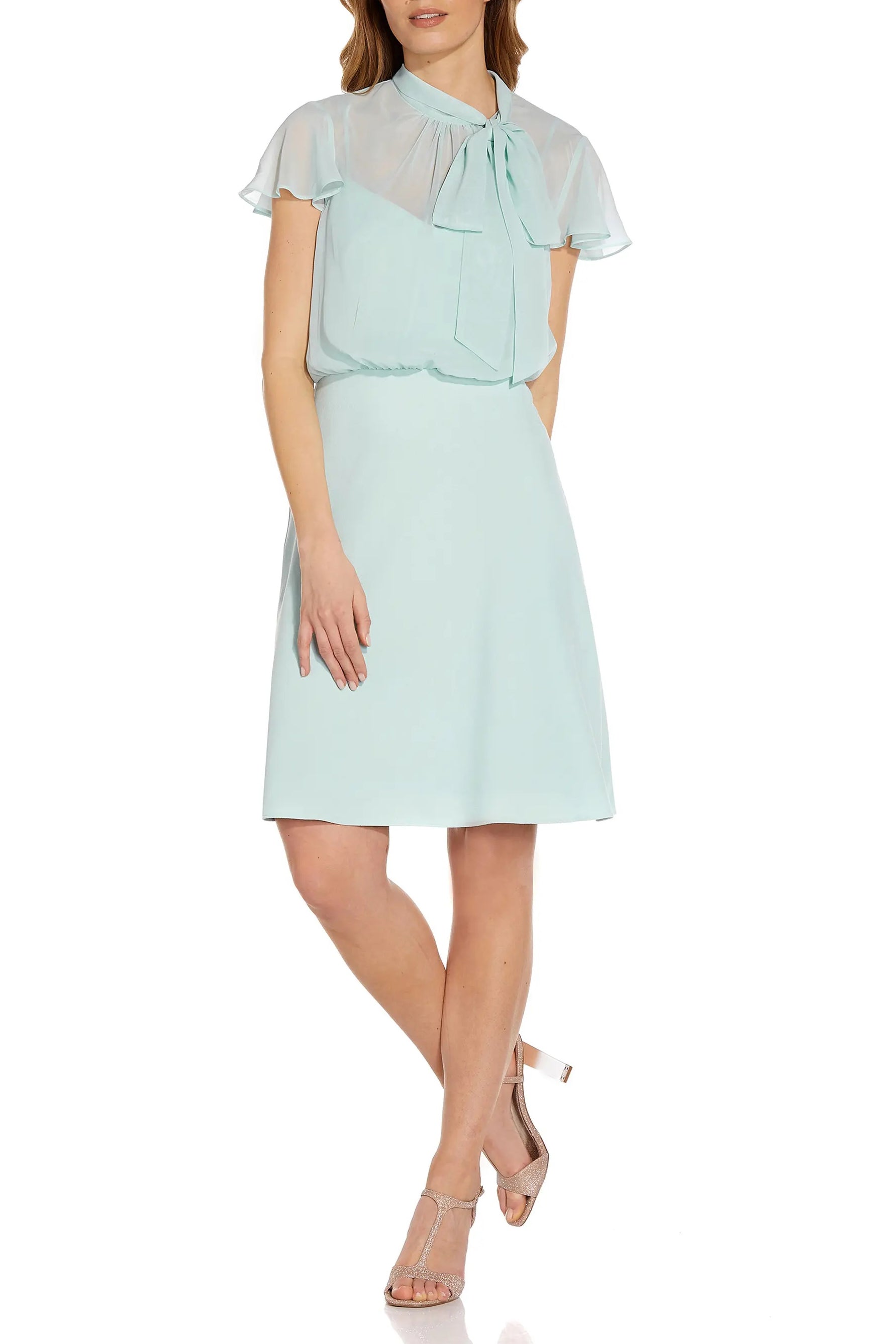 Adrianna Papell Tie Neck Illusion Sleeve Keyhole Back A-Line Crepe Chiffon Dress-0