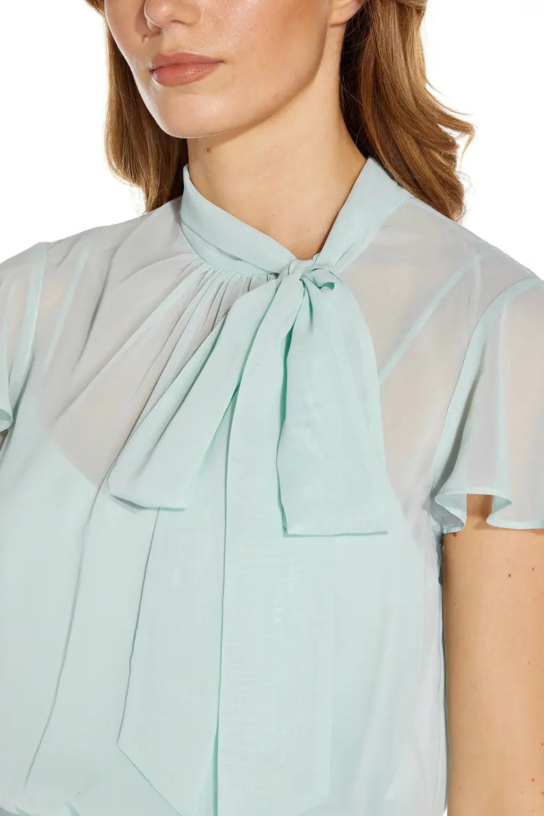 Adrianna Papell Tie Neck Illusion Sleeve Keyhole Back A-Line Crepe Chiffon Dress-3