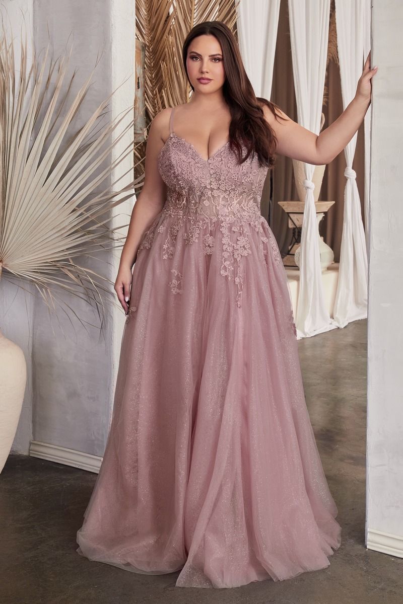 A-Line Lace & Tulle Embroidered Bodice Plus Size Long Prom Dress CDC148C-0