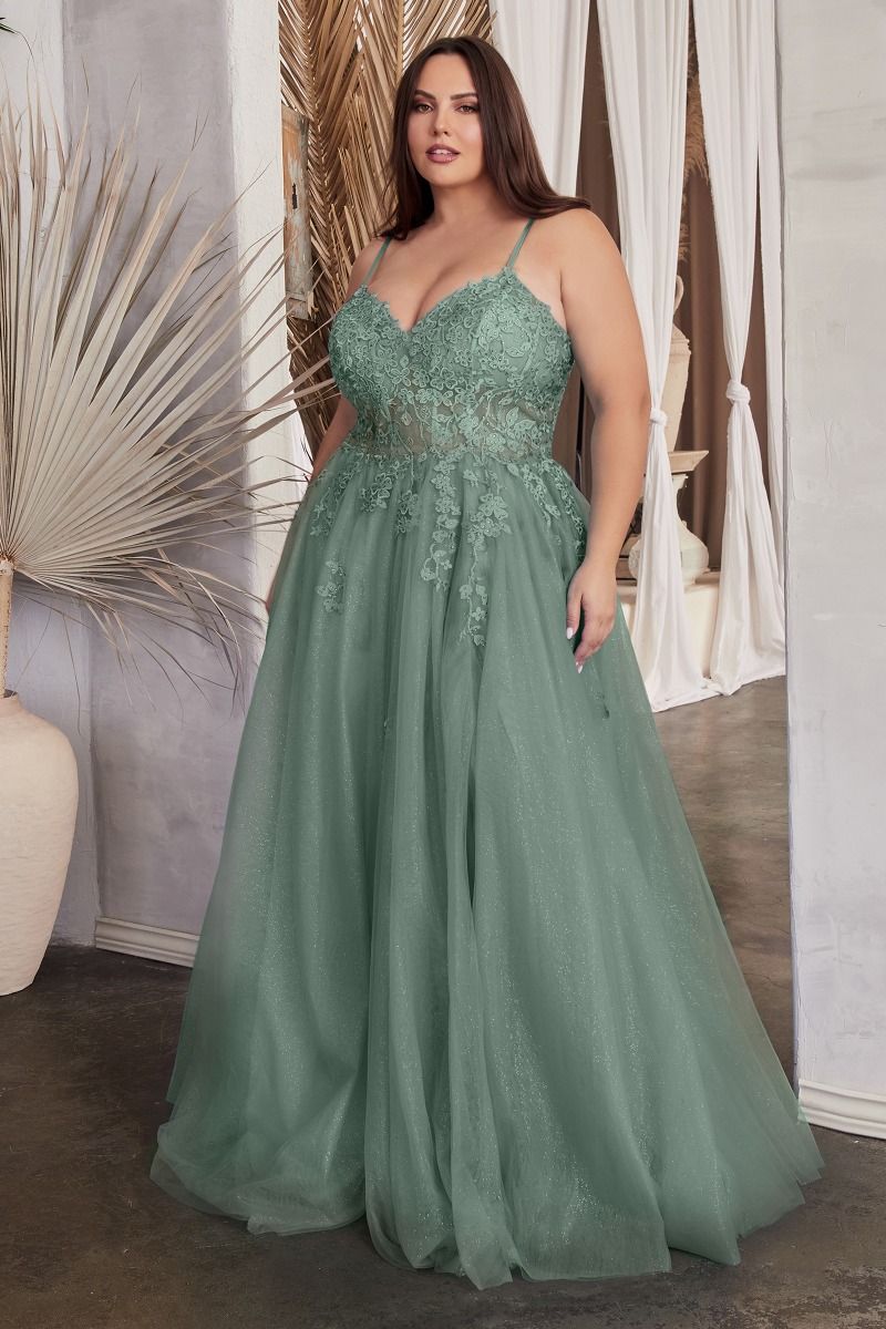 A-Line Lace & Tulle Embroidered Bodice Plus Size Long Prom Dress CDC148C-2