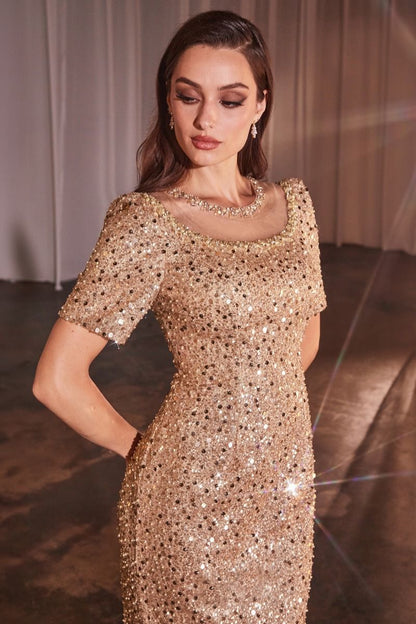 CAP SLEEVE FITTED SEQUIN GOWN CDCB151-0