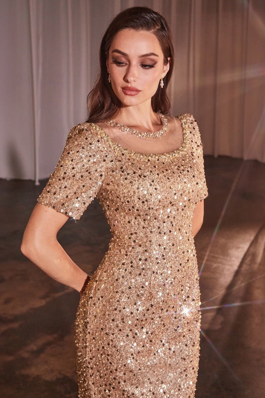 CAP SLEEVE FITTED SEQUIN GOWN CDCB151-0