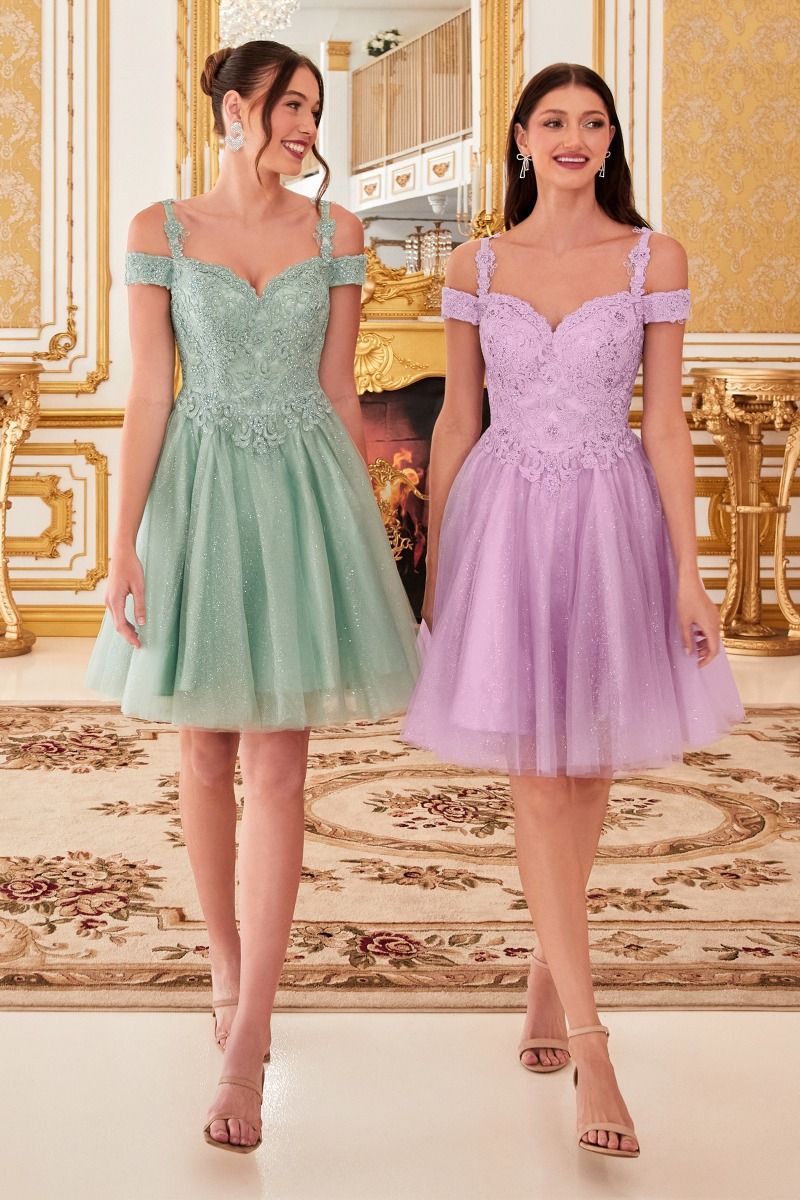 OFF THE SHOULDER LACE COCKTAIL DRESS CDCD0132-0