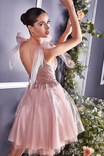 A-Line Tulle Babydoll V-Neck Embroidered Bodice Short Cocktail Dress CDCD0174-4