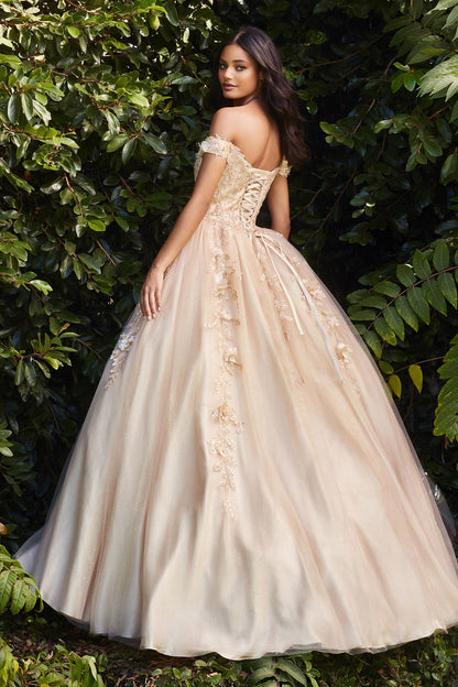 OFF THE SHOULDER LAYERED TULLE BALL GOWN CDCD0185-2