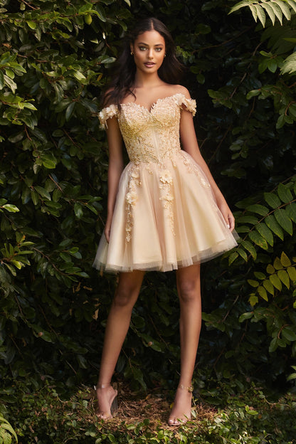 SHORT LACE A-LINE OFF THE SHOULDER DRESS CDCD0194-5