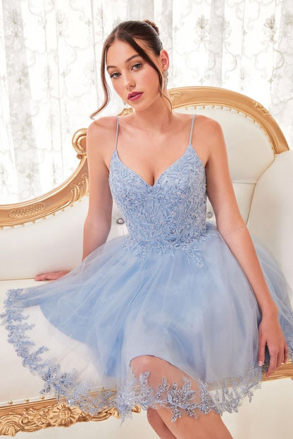 SHORT A-LINE LACE & TULLE DRESS CDCD0213-0