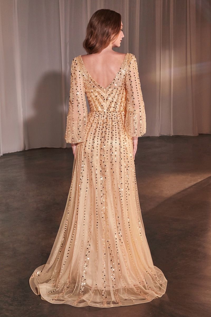 Shimmering V-Neck Long Sleeve A-Line Gown with Sequin Embellishments  CDCD0240-3