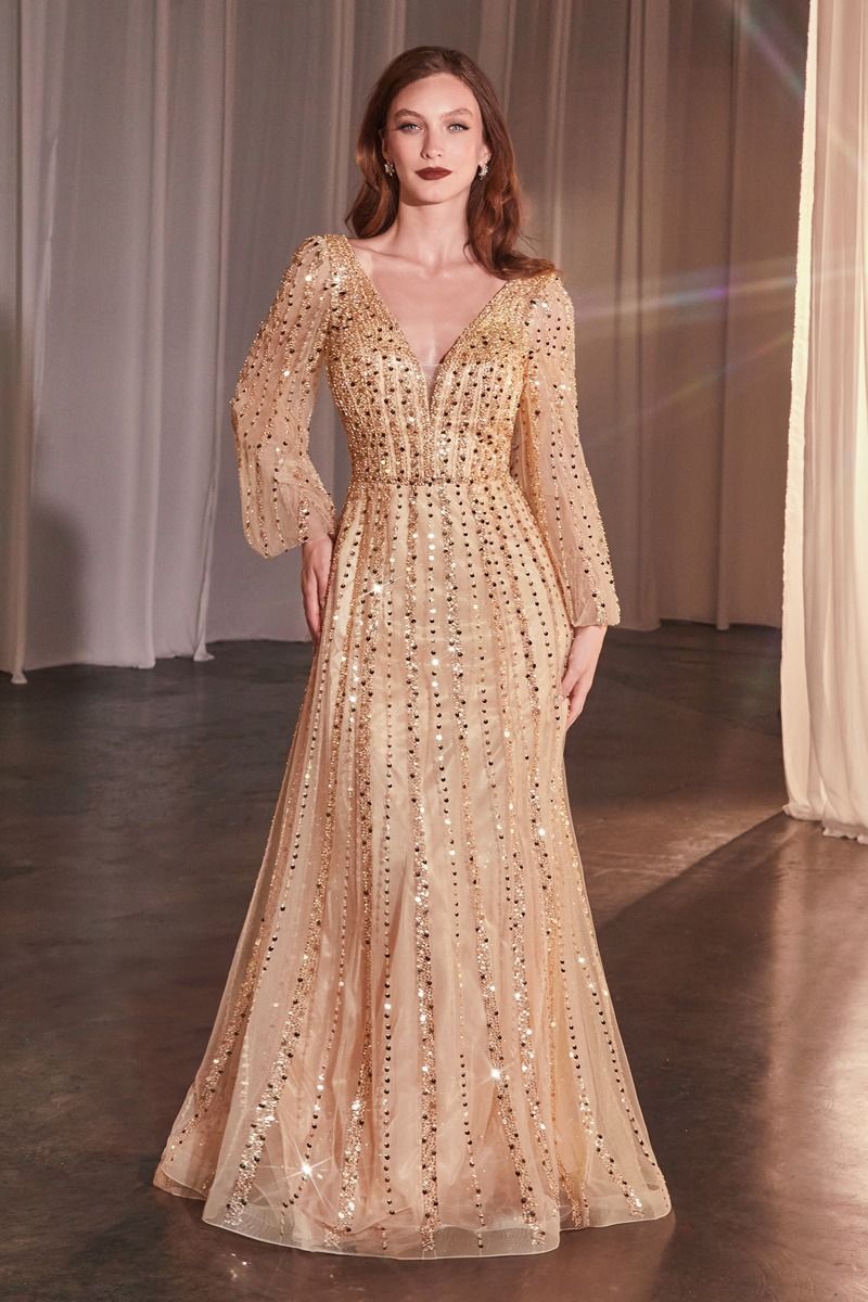Shimmering V-Neck Long Sleeve A-Line Gown with Sequin Embellishments  CDCD0240-1
