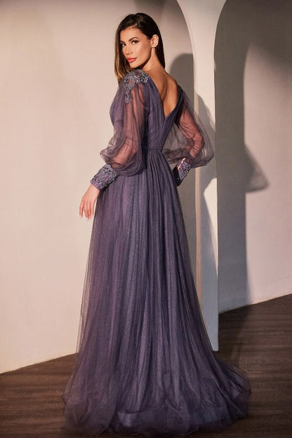 Deep Mauve Tulle Gown with Sheer Long Sleeves & Floral Beaded Waist CD0938-1