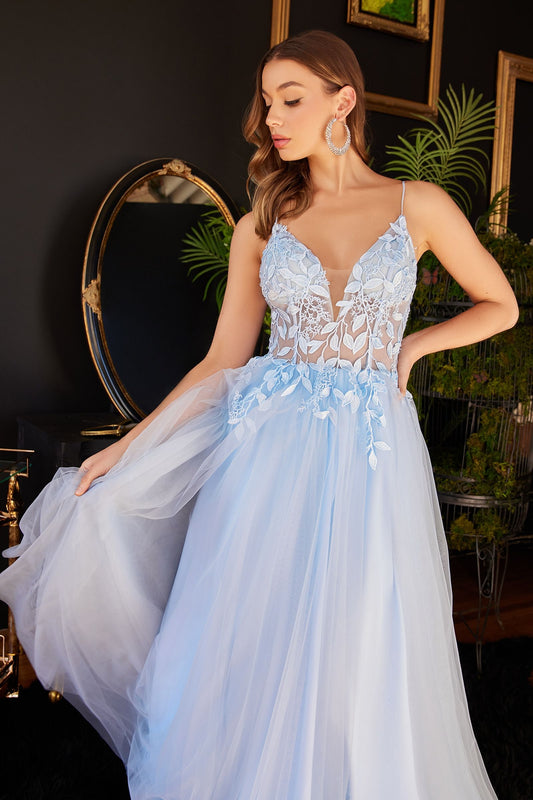 Layered Tulle A-Line Floral Vintage Sheer V-neck Spaghetti Strap Long Prom Dress CDCD2214