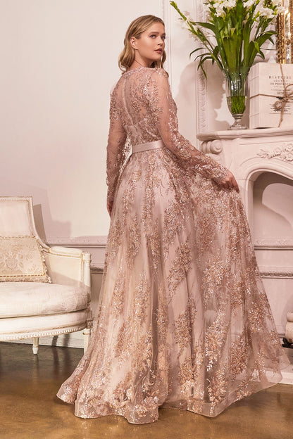 A-Line Long Sleeves Embroidered Lace V-Neck Long Mother Of The Bride Dress CDCD233C-1