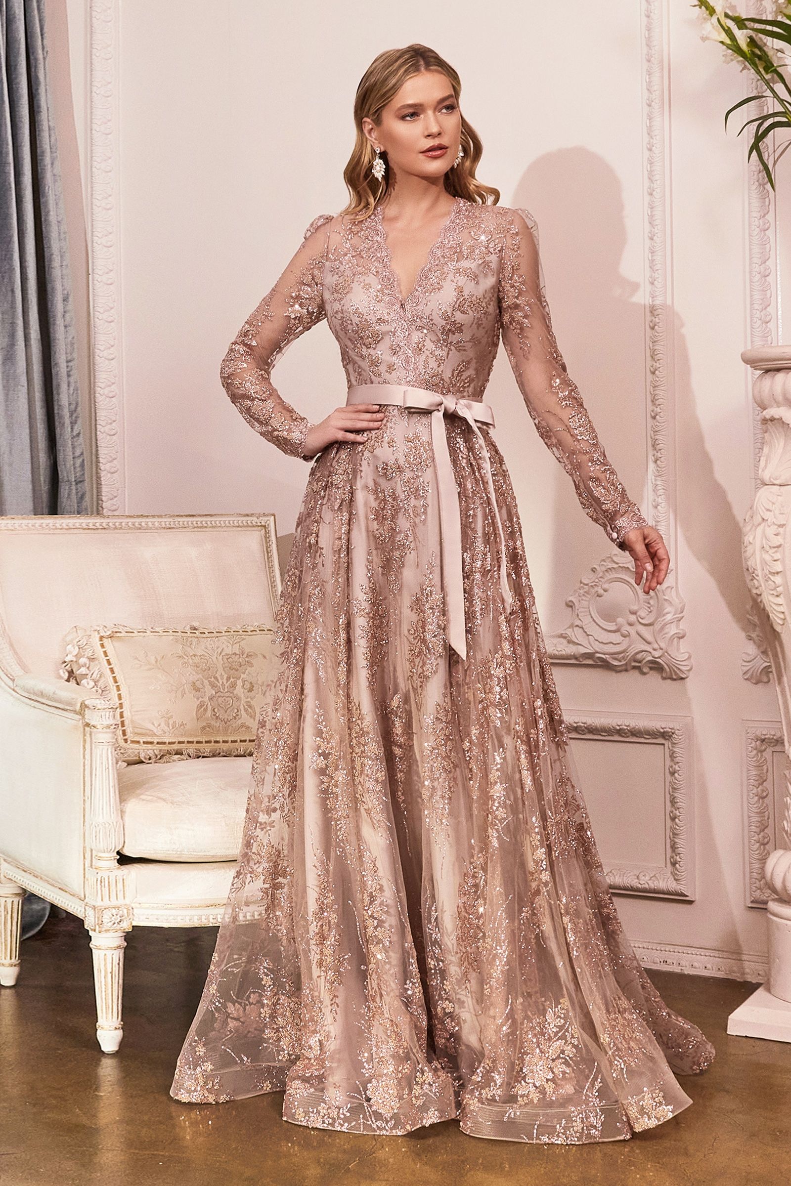 Embellished Ball Gown, Long Sleeve CDCD233-2