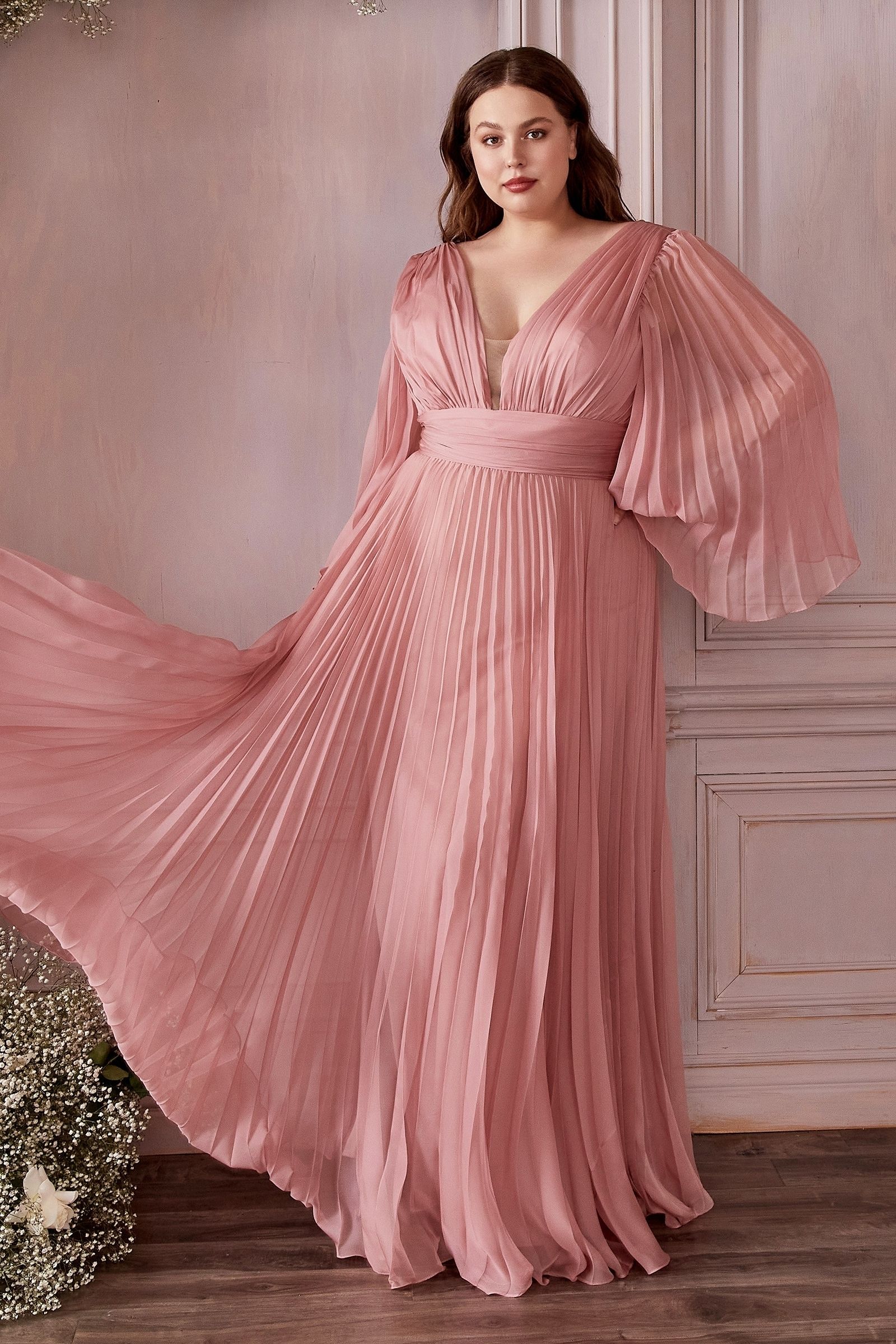 Chiffon Gown, Long Sleeve CDCD242C-2