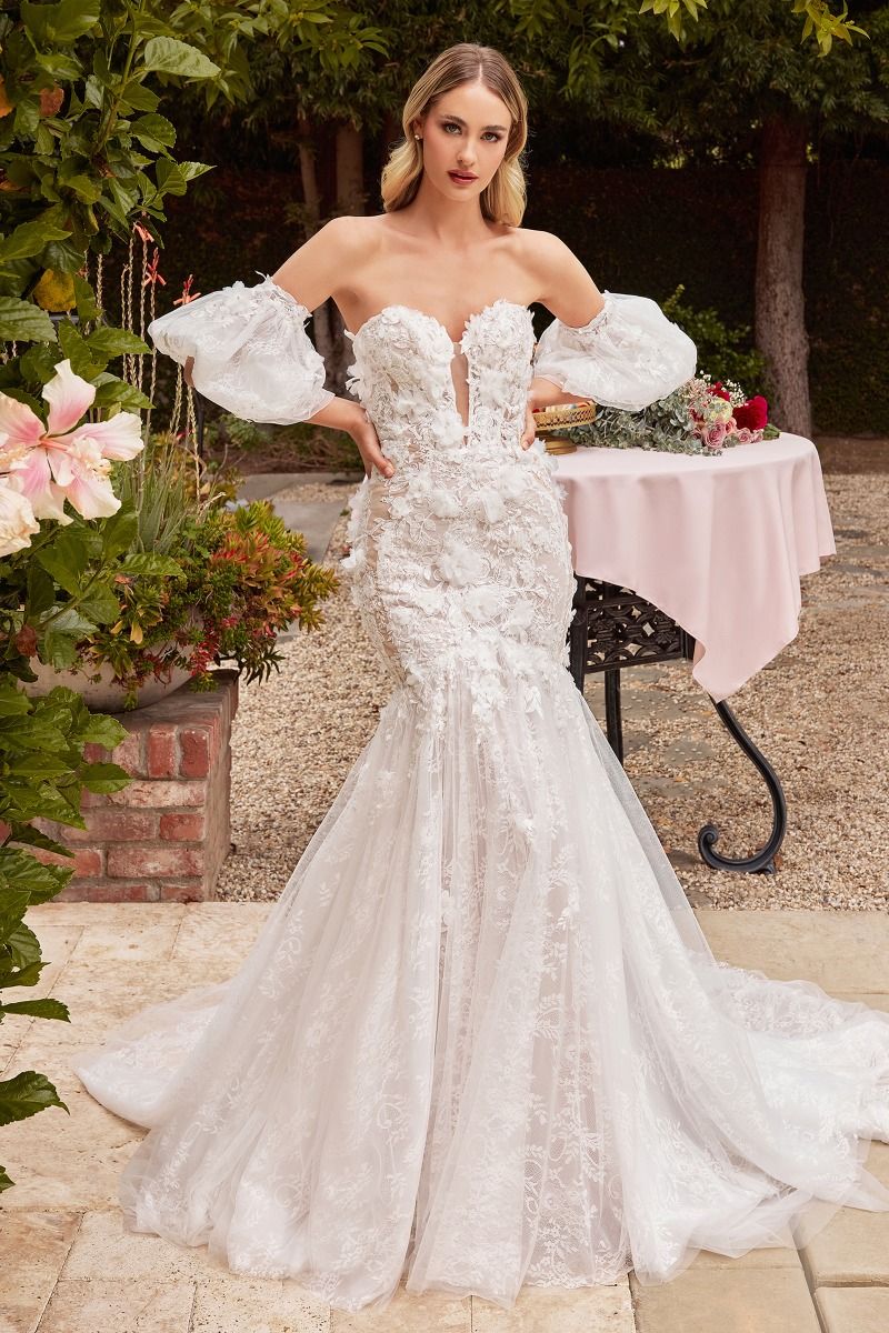 Strapless Embroidered Lace Mermaid Long Wedding Dress CDCDS434W