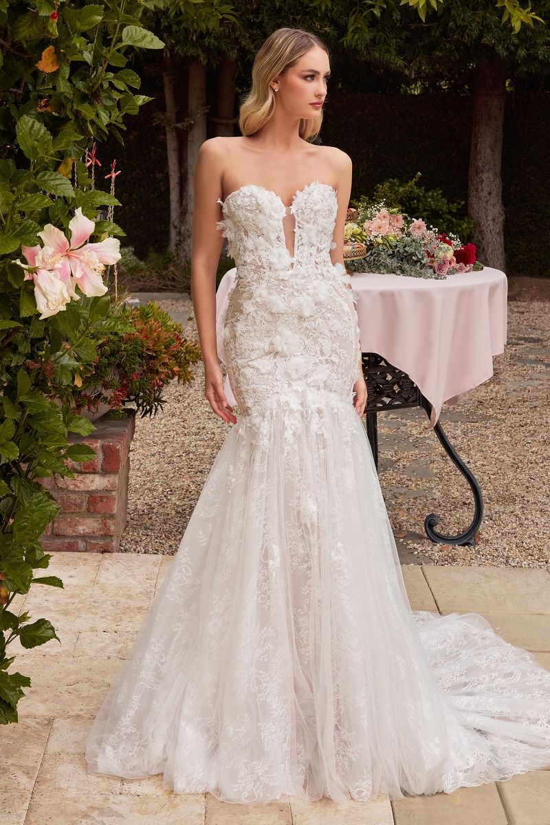 Strapless Embroidered Lace Mermaid Long Wedding Dress CDCDS434W