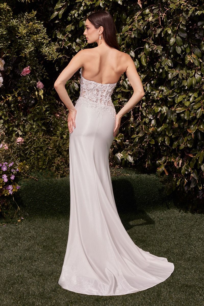 LACE BODICE STRAPLESS WEDDING DRESS CDCDS465W-3