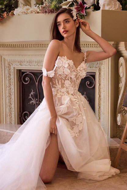 LACE APPLIQUED A-LINE TULE WEDDING DRESS CDCDS498W-2