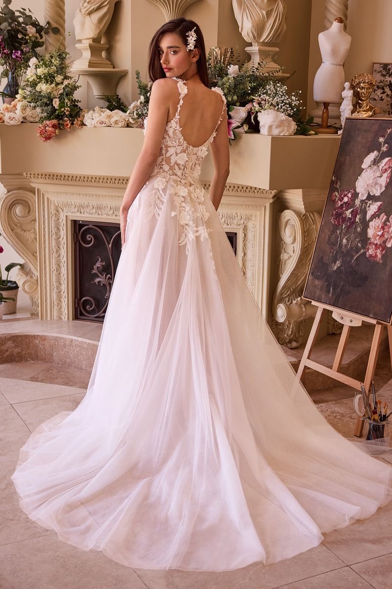 LACE APPLIQUED A-LINE TULE WEDDING DRESS CDCDS498W-1