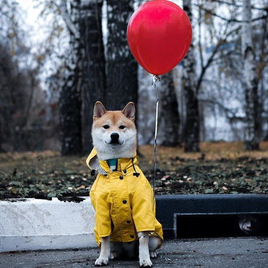 Classic British Style Dog Raincoat - Stylish And Functional Pet Clothes For Rainy Days