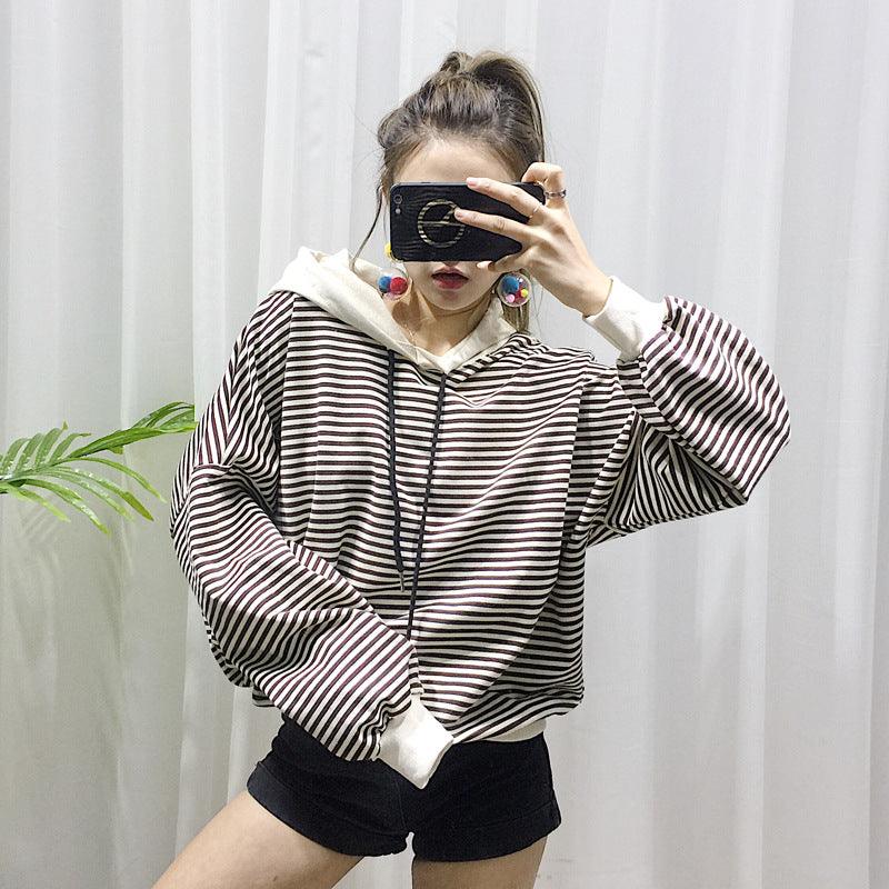 Cozy Cotton Sweatshirt For Fashionable Small Dogs