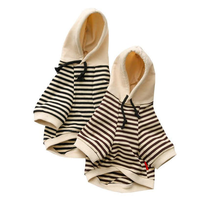 Cozy Cotton Sweatshirt For Fashionable Small Dogs