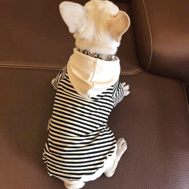Cozy Cotton Sweatshirt For Fashionable Small Dogs