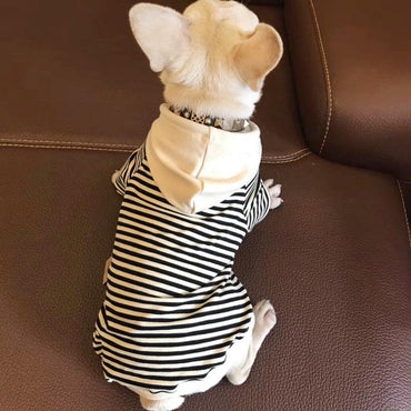 Cozy Cotton Sweatshirt For Fashionable Small Dogs