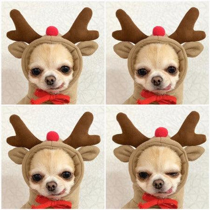 Cozy Love Sweater: Adorable Autumn And Winter Clothing For Small And Medium Dogs