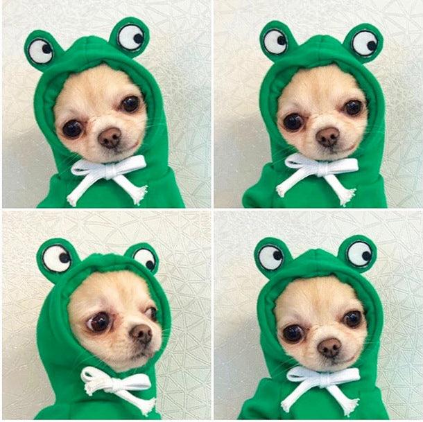 Cozy Love Sweater: Adorable Autumn And Winter Clothing For Small And Medium Dogs