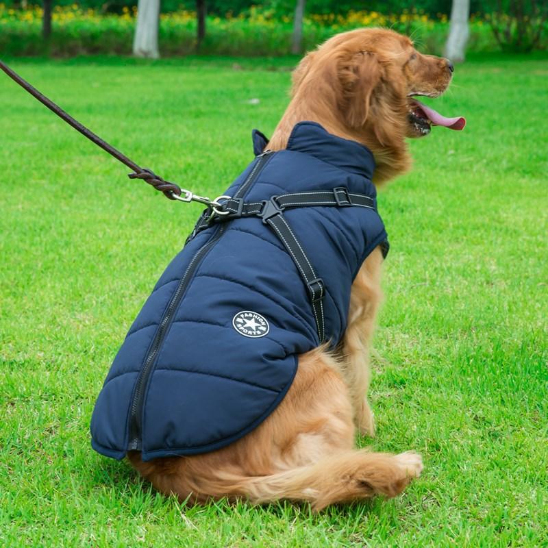 Cozycanine Integrated Cotton Vest - Stylish Winter Apparel For Dogs