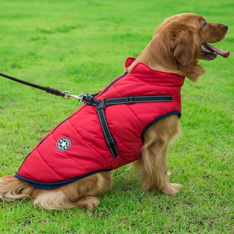 Cozycanine Integrated Cotton Vest - Stylish Winter Apparel For Dogs