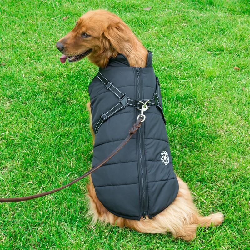 Cozycanine Integrated Cotton Vest - Stylish Winter Apparel For Dogs