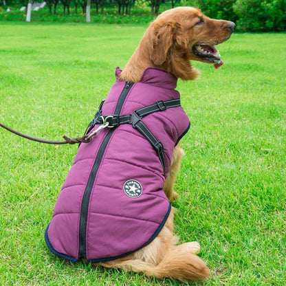 Cozycanine Integrated Cotton Vest - Stylish Winter Apparel For Dogs
