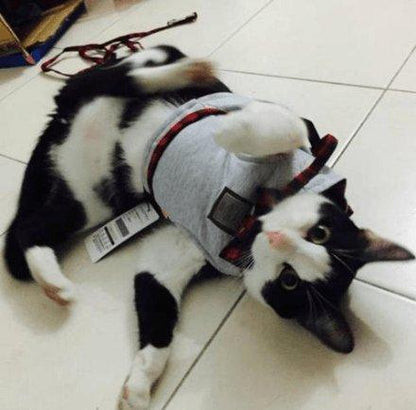 Cozycat Knitted Fabric Cat Harness Set-3