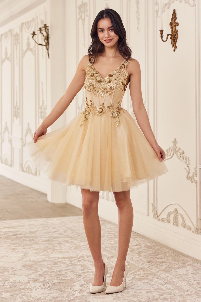 SEQUIN BEADED A-LINE SHORT DRESS CDCY019-1