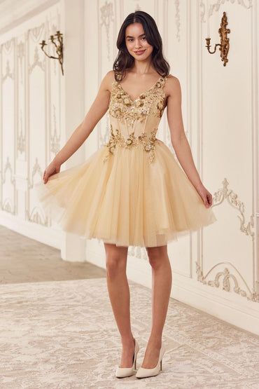 SEQUIN BEADED A-LINE SHORT DRESS CDCY019-1