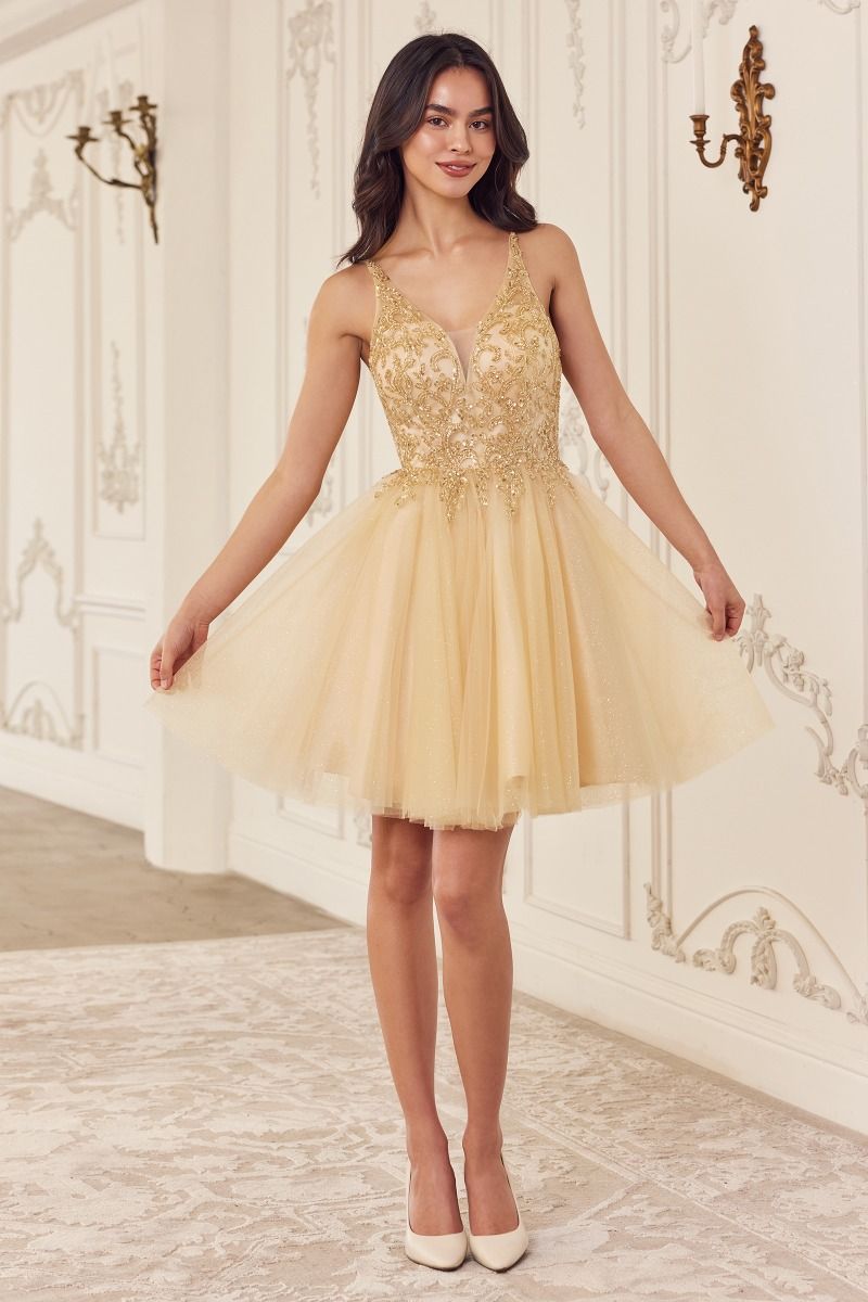 Beaded A-Line Layered Tulle Skirt Short Cocktail & Homecoming Dress CDCY022