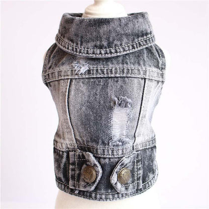 Stylish Denim Dog Jacket: Trendy Pet Fashion For Small Dogs