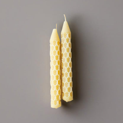 Coloured Beeswax Candles | Tree Tapers | Box of 16