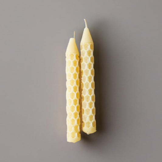 Coloured Beeswax Candles | Tree Tapers | Box of 16
