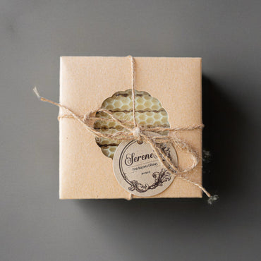 Coloured Beeswax Candles | Tree Tapers | Box of 16