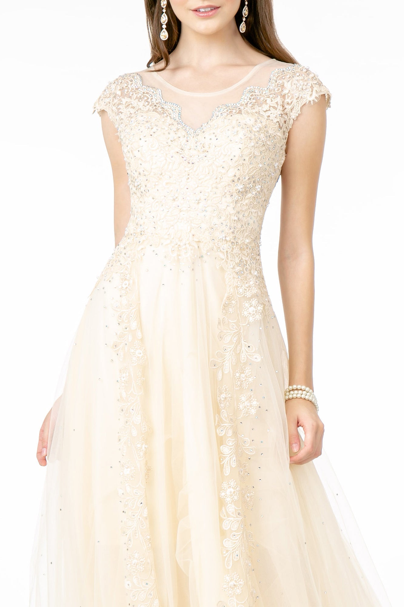 Embroidered Mesh A-Line w/ Sheer Back Long Prom Dress GLGL2882-1